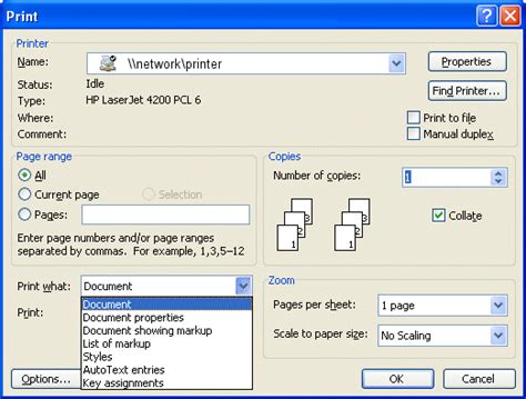 The Option to Print a Document: Locating the Print Function and Beyond